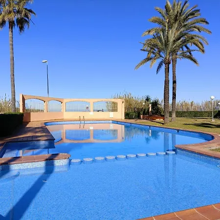 Flamingo Denia