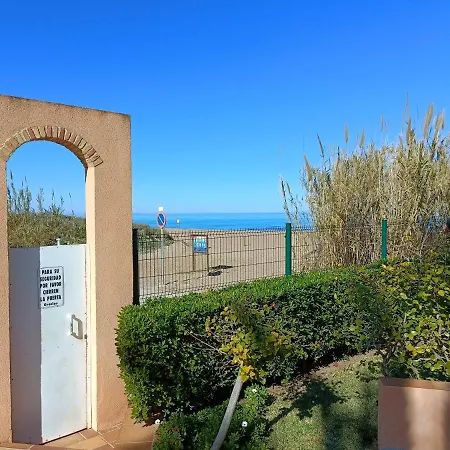 Flamingo * Denia